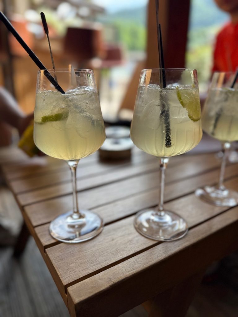 Apéritif en terrasse face aux montagnes